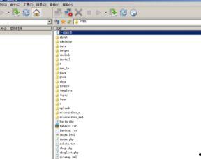 国产小视频连接 ftp,探索便捷文件传输新方式