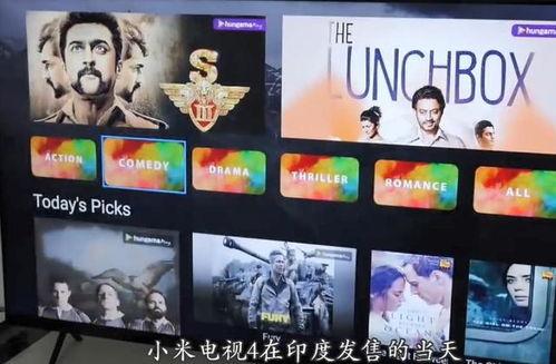 这里只有品国产视频