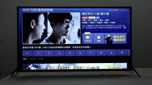 国产型视频免费在线观看,免费在线观看，尽在指尖