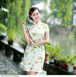 国产旗袍摄影视频网站,国产旗袍摄影视频网站魅力之旅