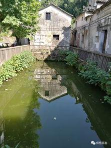 桃花坞视频国产,国产生态下的创新与突破