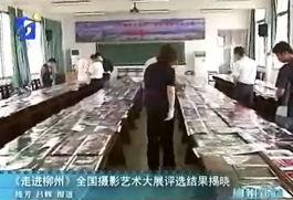 柳州国产视频种子,本土创意的种子，绽放璀璨光影